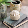 "Succulent Porcelain Diffuser -"