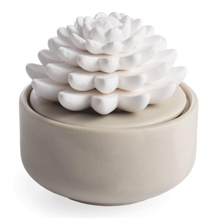 "Succulent Porcelain Diffuser -"