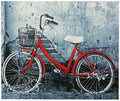 BICYCLE  25" Wide Wall Art