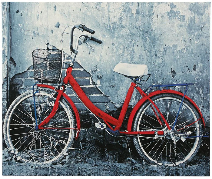 BICYCLE  25" Wide Wall Art