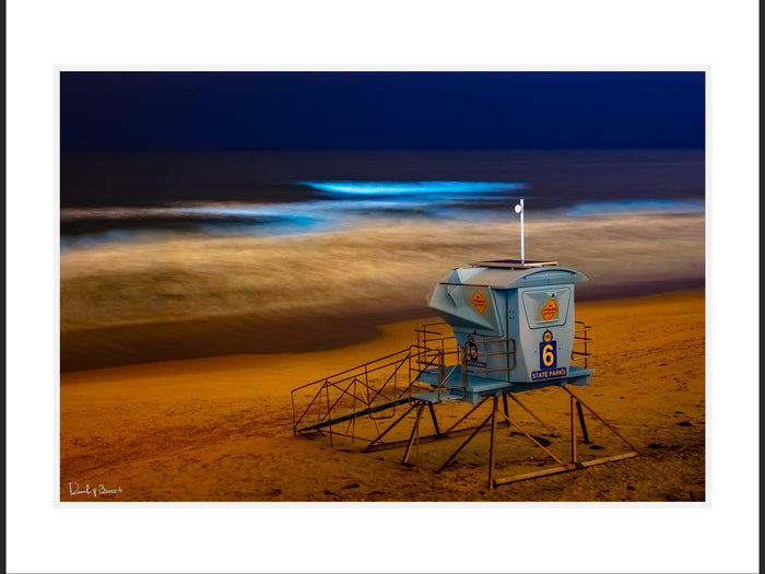 Bioluminescence I