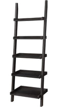 Callen Ladder Bookcase