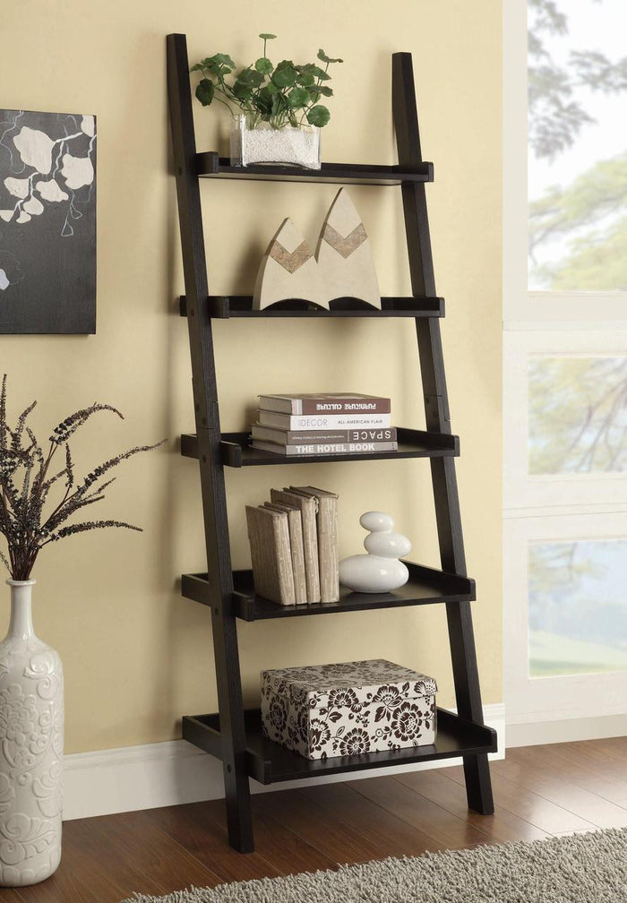 Callen Ladder Bookcase