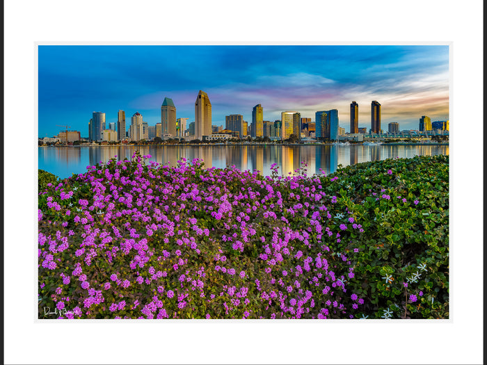 City Flowers