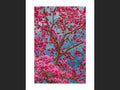 Color Blossoms