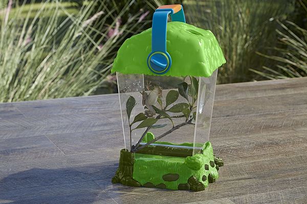 Clear plastic habitat with green canopy lid, blue handle, and a small frog on a leafy branch inside.