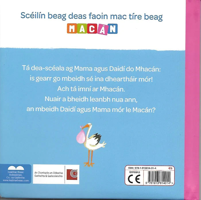 Back cover of an Irish children's book featuring a stork carrying a bundle, colorful text, and a light blue background.