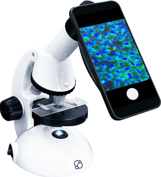 White toy microscope with a smartphone mounted to the eyepiece, displaying a vibrant green and blue magnified image.