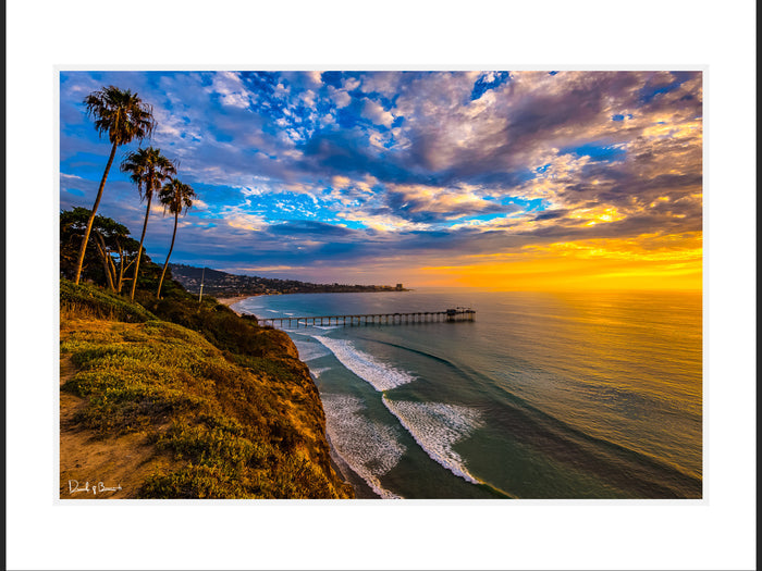 Paradise Coast