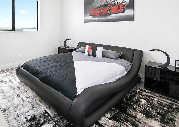 PERPLEX Black 2' x 3' Rug