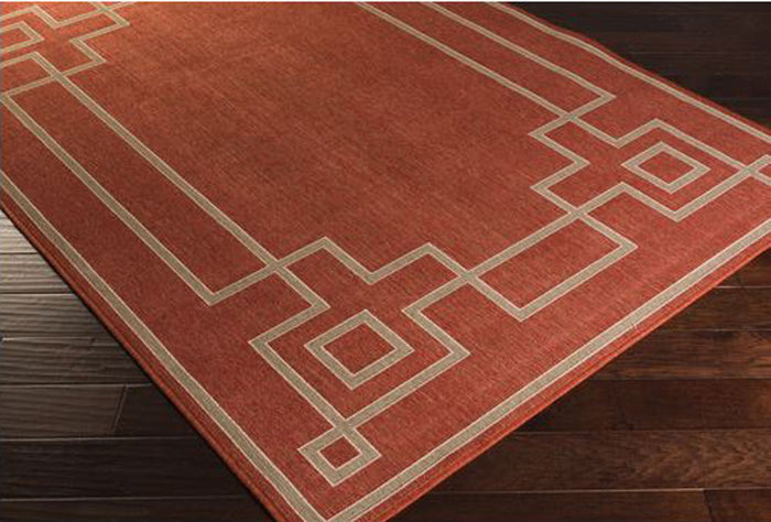 Raina Rust 5' x 7' Rug (Indoor/Outdoor)