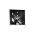 Talisha - Wall Art - Mirrored & Faux Crystal Leopard