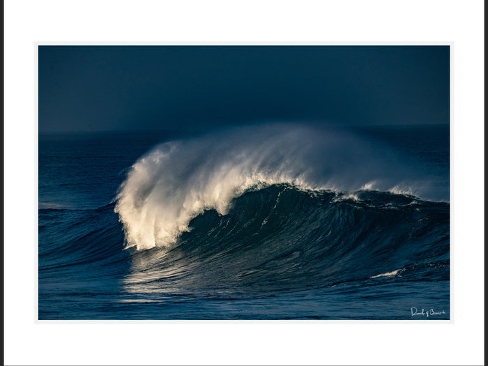 The Reef