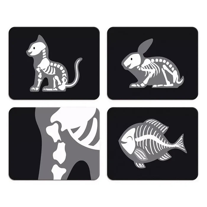Four toy X-ray cards showing white and grey skeletons of a cat, rabbit, fish, and bone joint on black backgrounds.