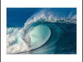 Wild Pacific
