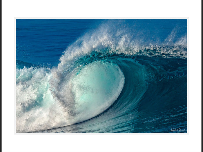Wild Pacific