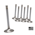 WSRD +1mm Intake & Exhaust Valves | 2024-2026 Maverick R