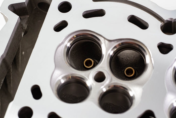 WSRD Valve Guide Set | Can-Am X3 (900ACE Rotax)