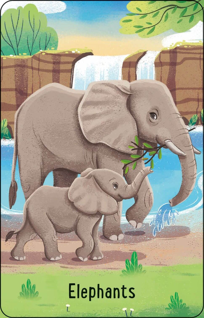 Illustration of a mother and baby elephant near a waterfall with the word Elephants at the bottom.
